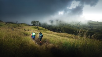 2 person walking on green grass savana rinjani mount