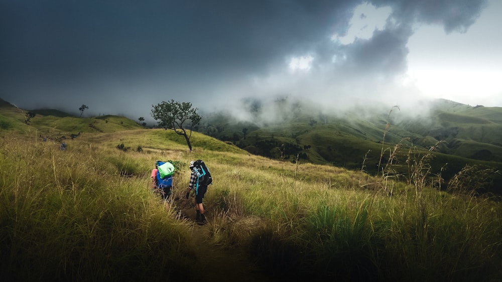 2 pessoas andando no campo de grama verde sob nuvens cinzentas