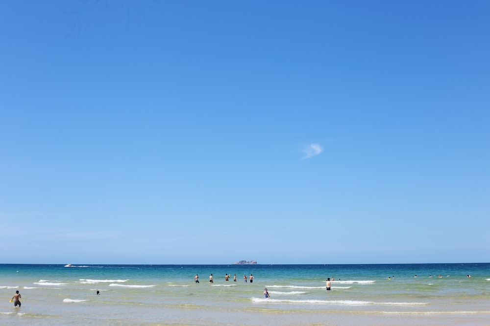 people on beach during daytime