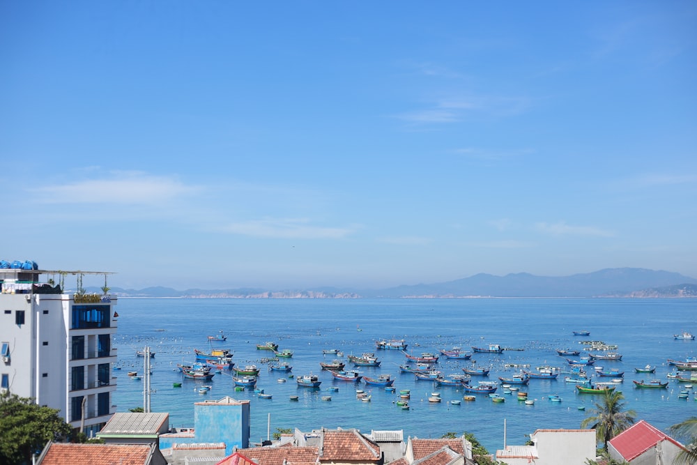 aerial view of city buildings near sea during daytime