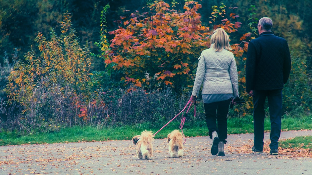 woman in white long sleeve shirt holding leash of brown dog