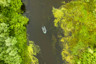 A small wooden boat gliding through calm Amazon river waters surrounded by lush green rainforest.