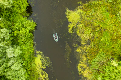 A traditional boat taxi navigating through narrow waterways surrounded by lush greenery.