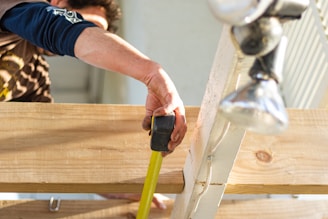 person holding black and green power tool