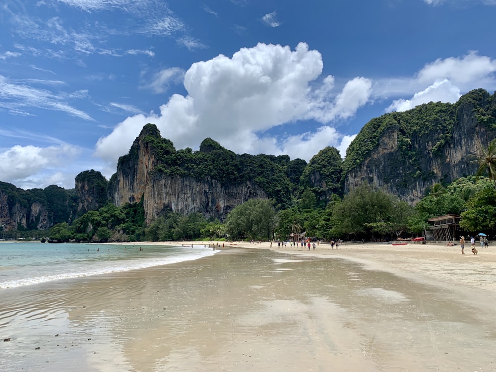 people on beach during daytime