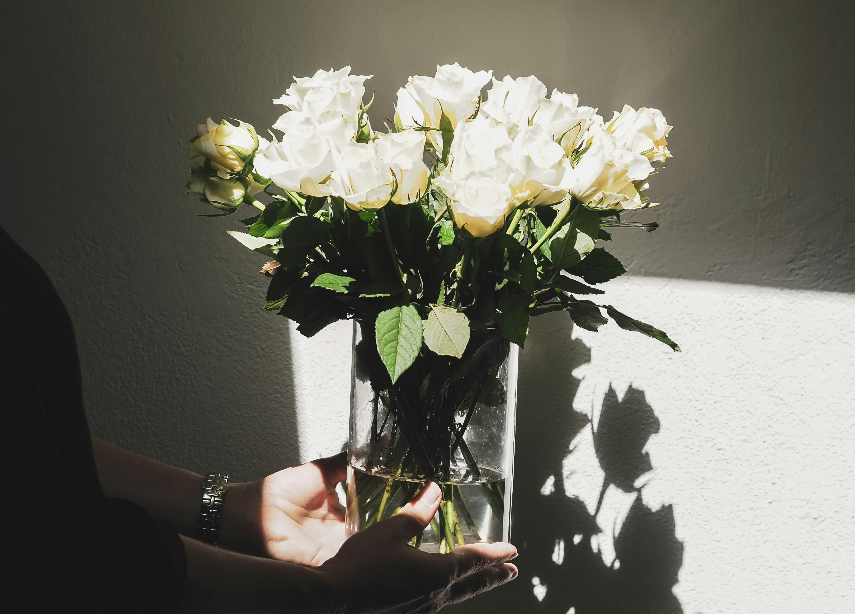 Photo by laurachouette