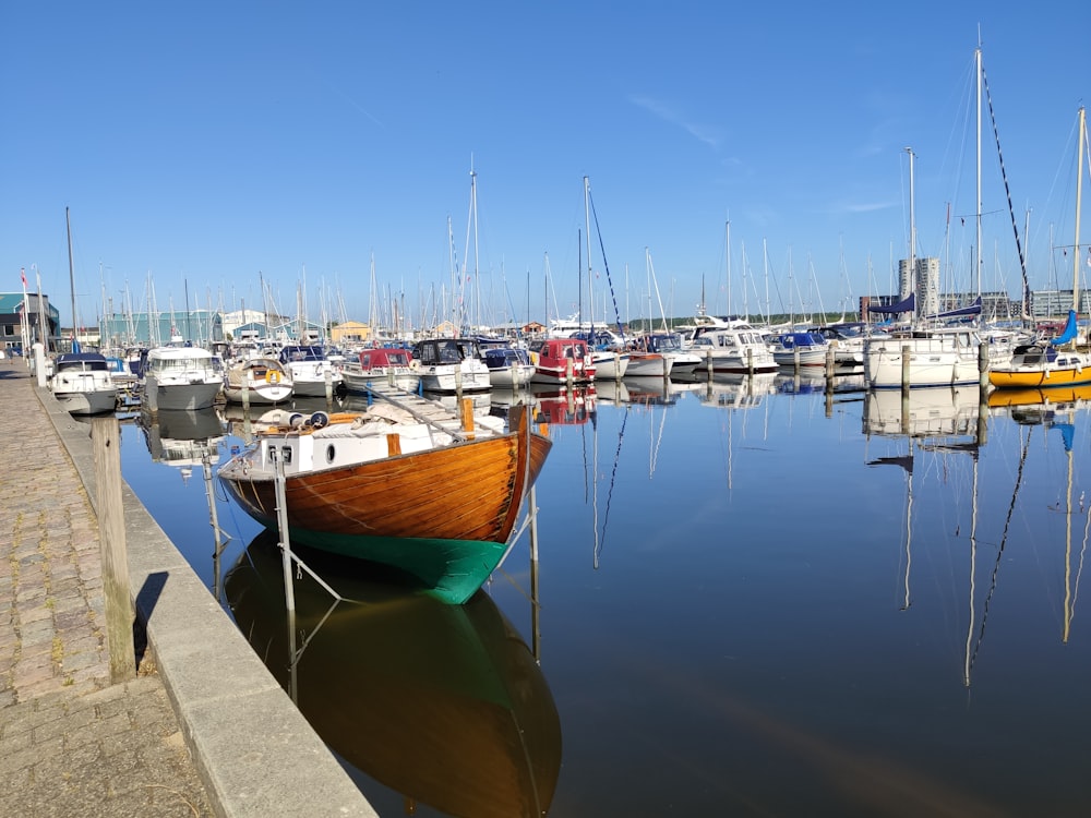 white and brown boats on dock during daytime