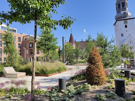 A modern urban garden featuring a variety of trees, shrubs, and flowering plants. The scene includes contemporary wooden benches, surrounded by lush greenery and carefully arranged landscaping. Red brick buildings and a distinctive white tower with a clock form the background, contributing to the peaceful atmosphere.