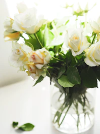 white roses in white vase