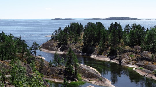 green trees near body of water during daytime in Sortavala Russia