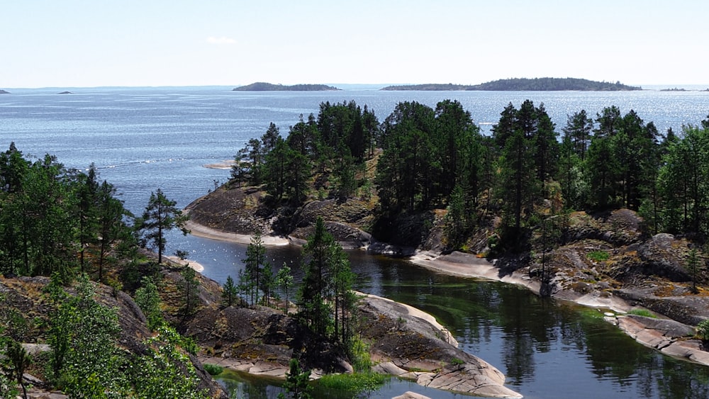 green trees near body of water during daytime