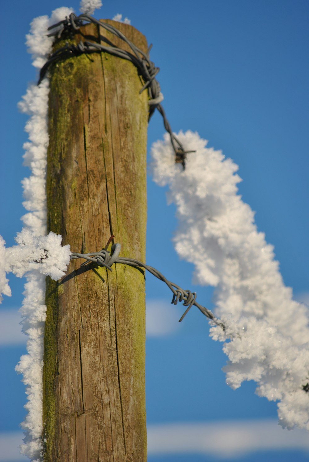 brown wooden post covered with snow