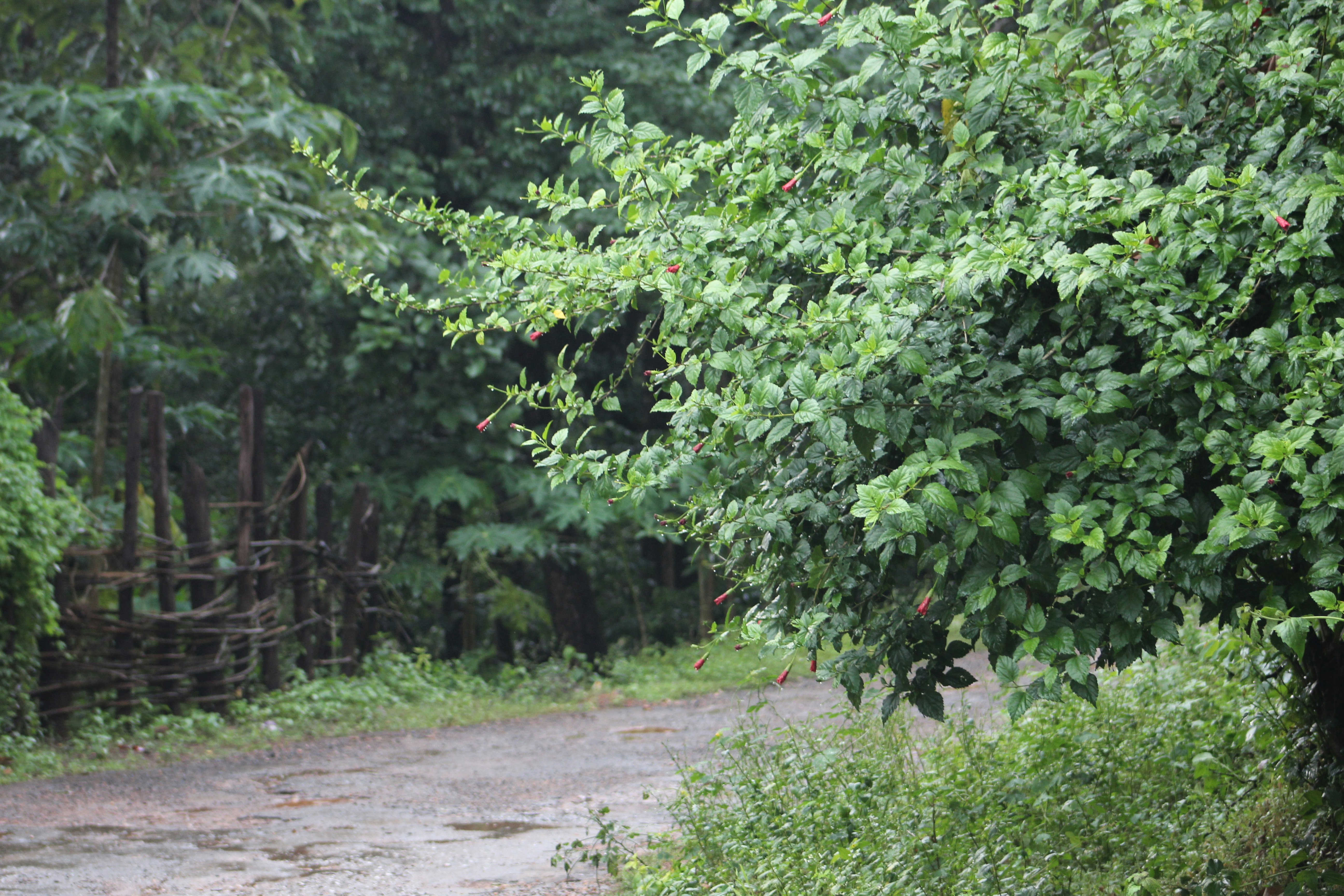 Photo by ar_sanjana7