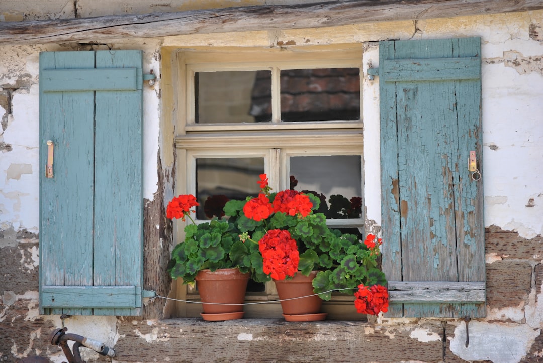 Cottage photo spot Wackershofen Germany