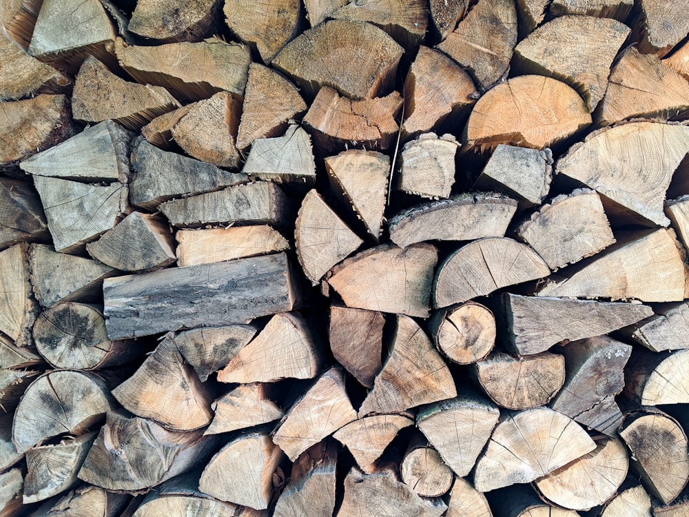 brown and black wood logs