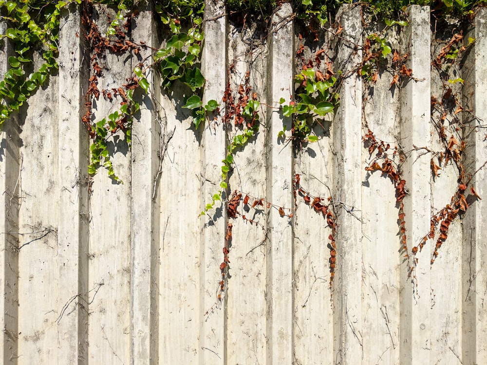 white and black wooden fence