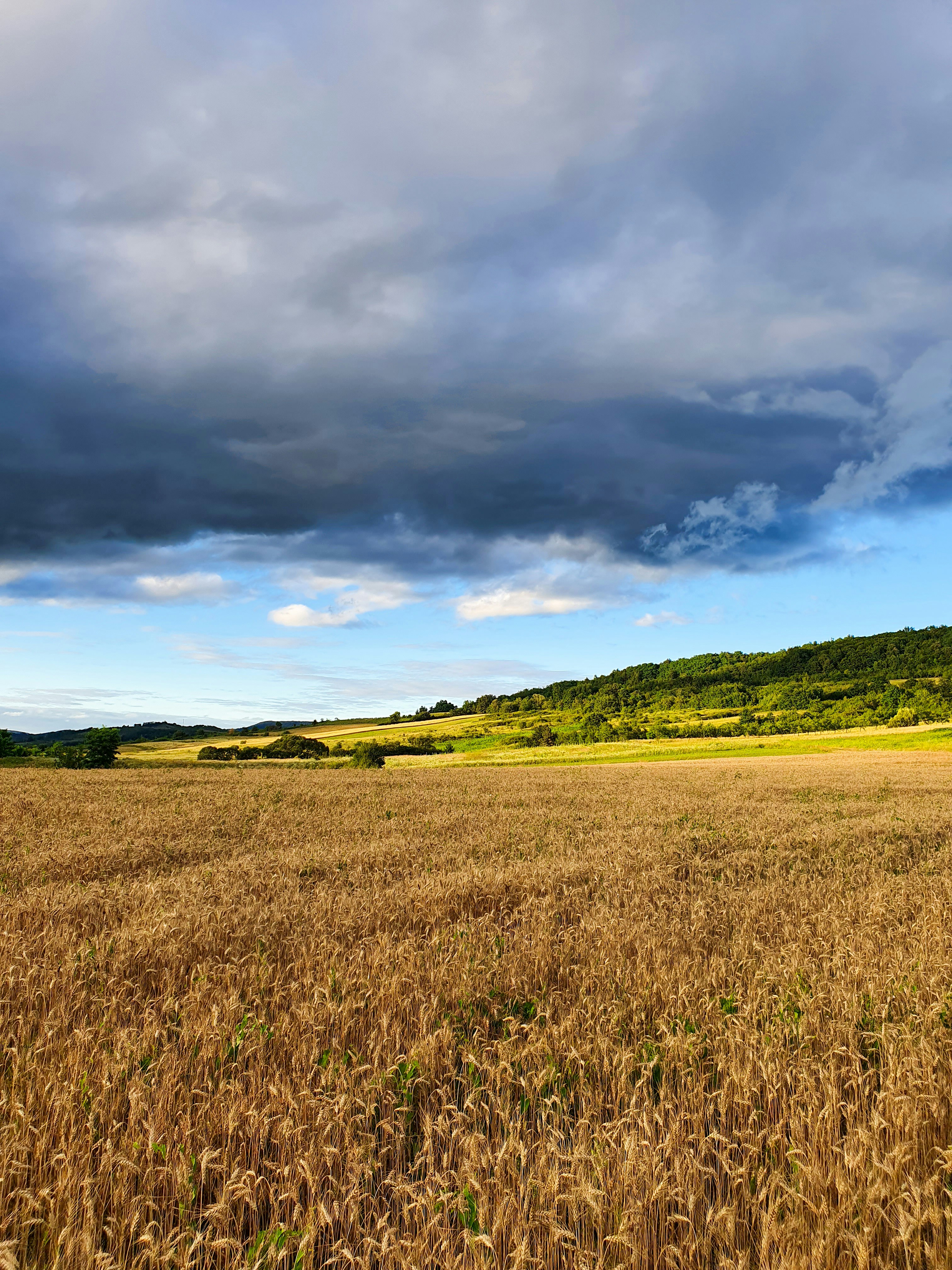 Photo by vasilevalcan