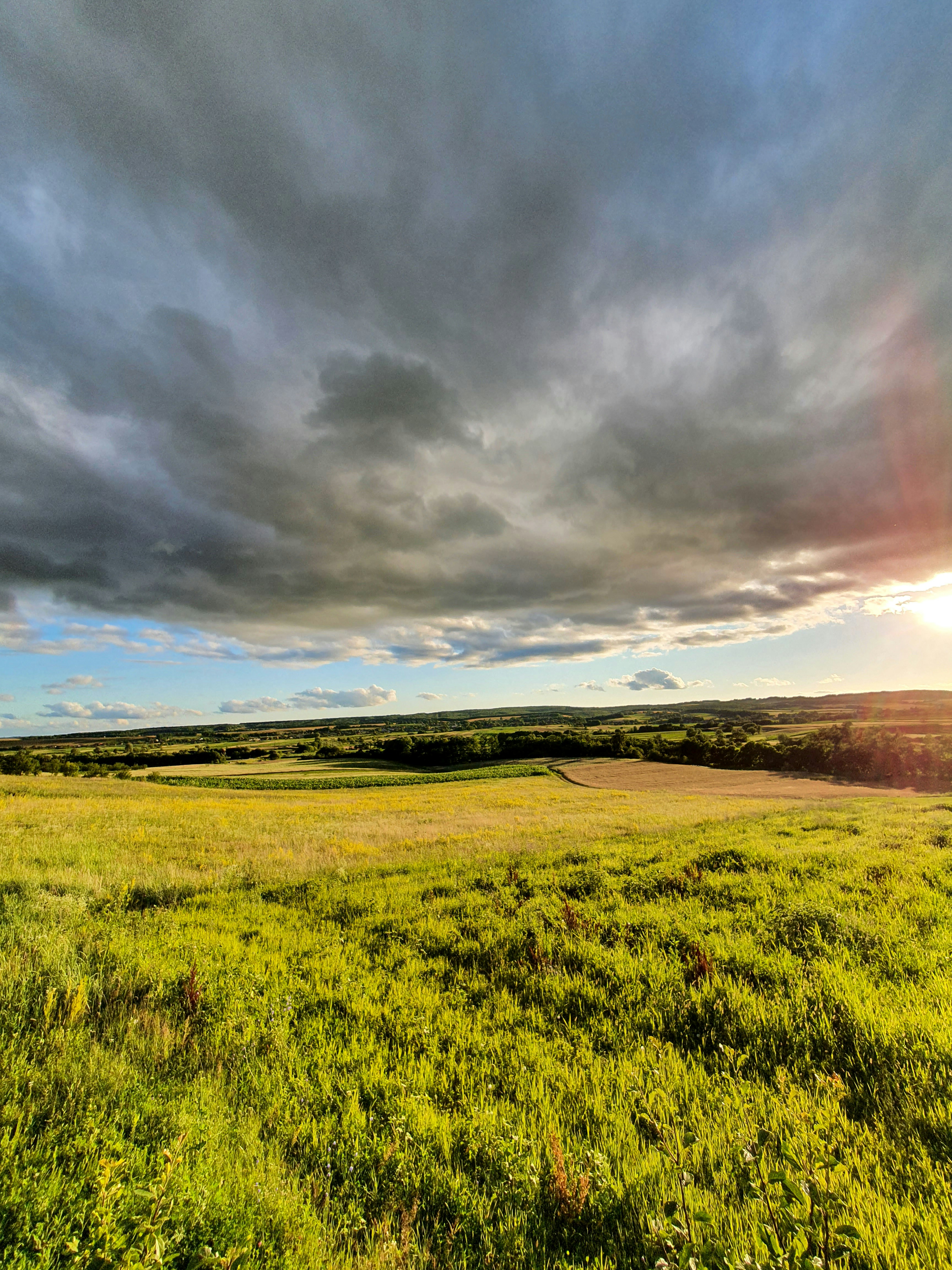 Photo by vasilevalcan