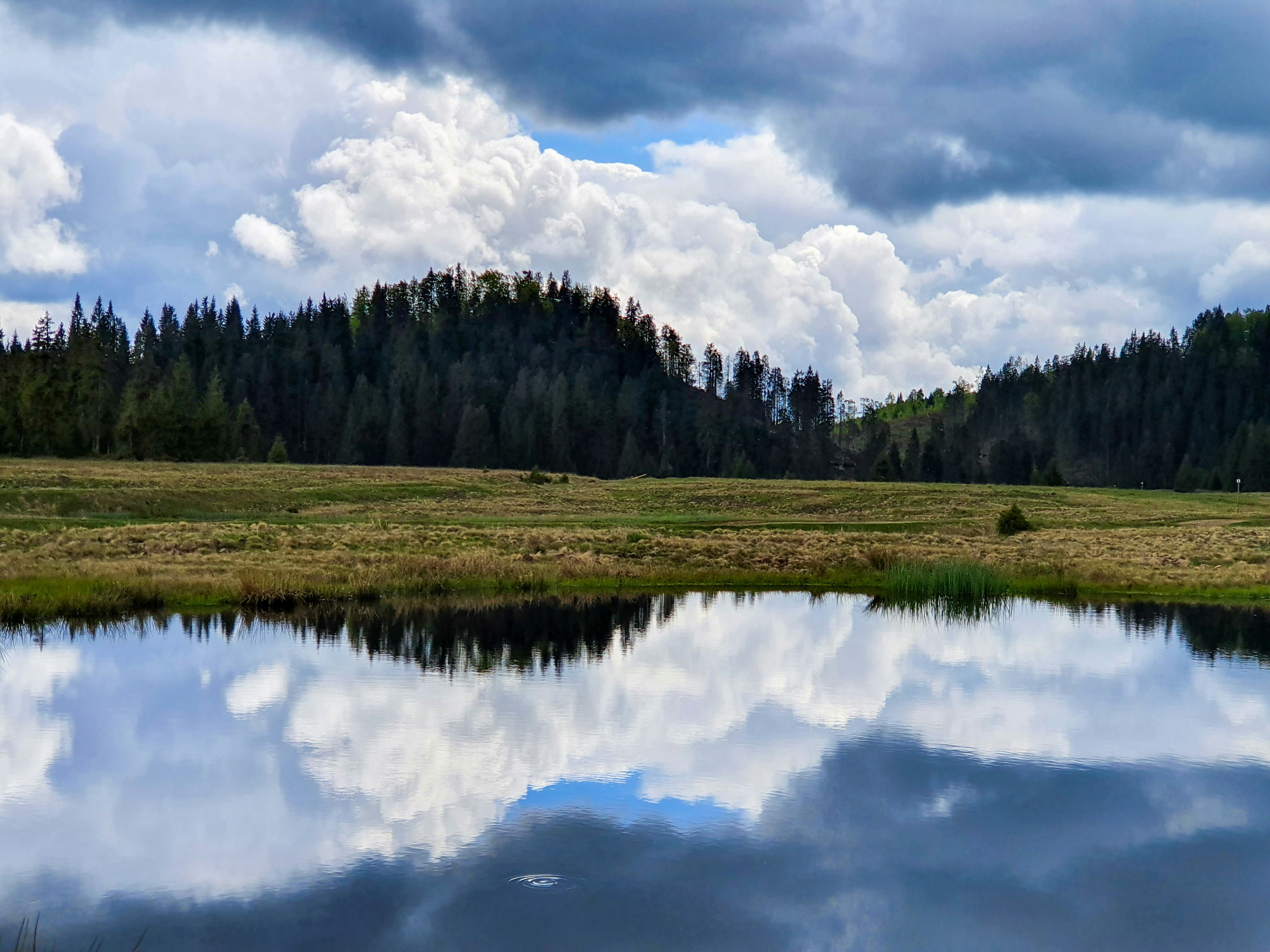 Photo by vasilevalcan