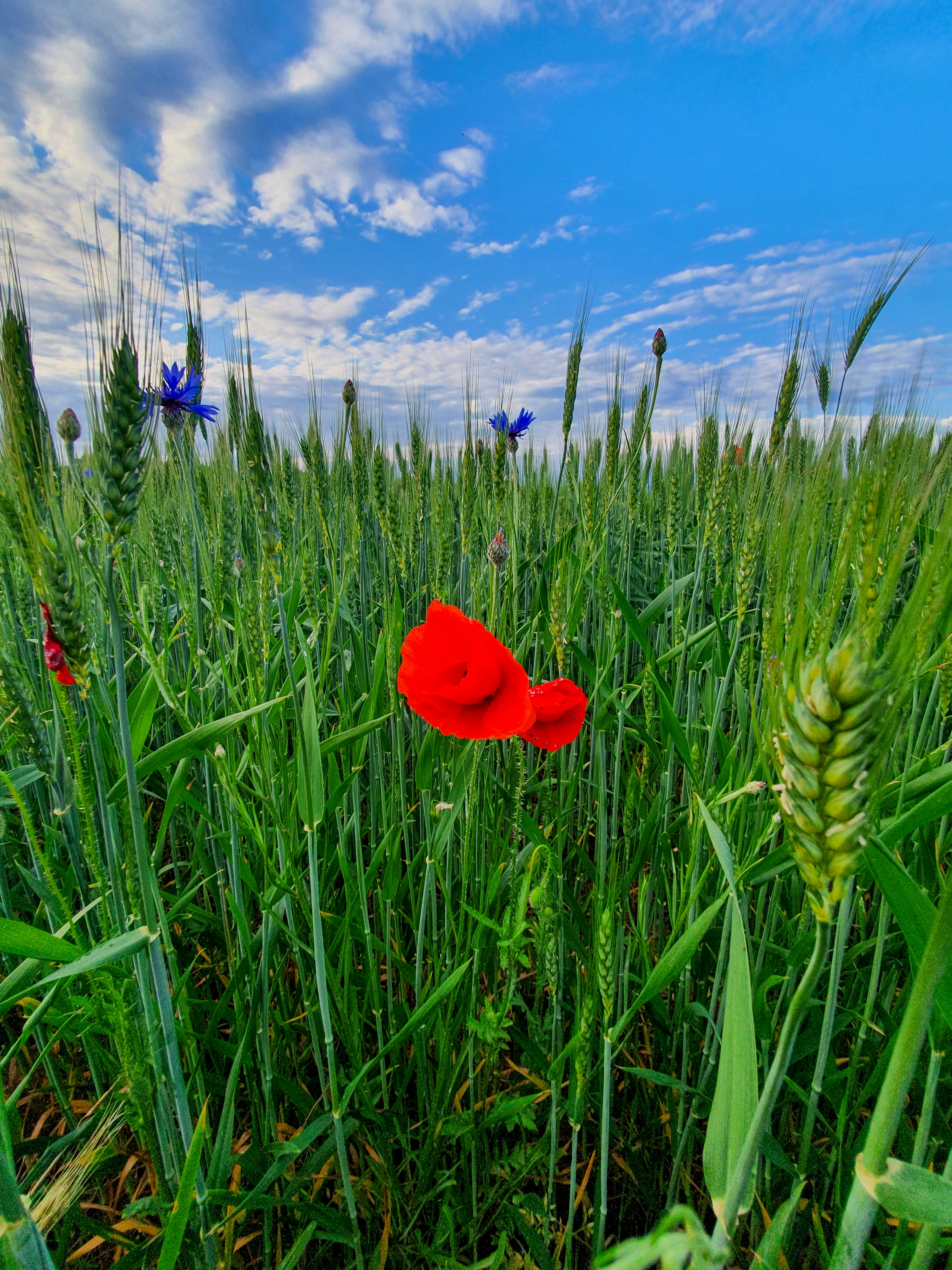 Photo by vasilevalcan