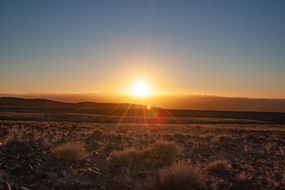 campo de grama marrom durante o pôr do sol