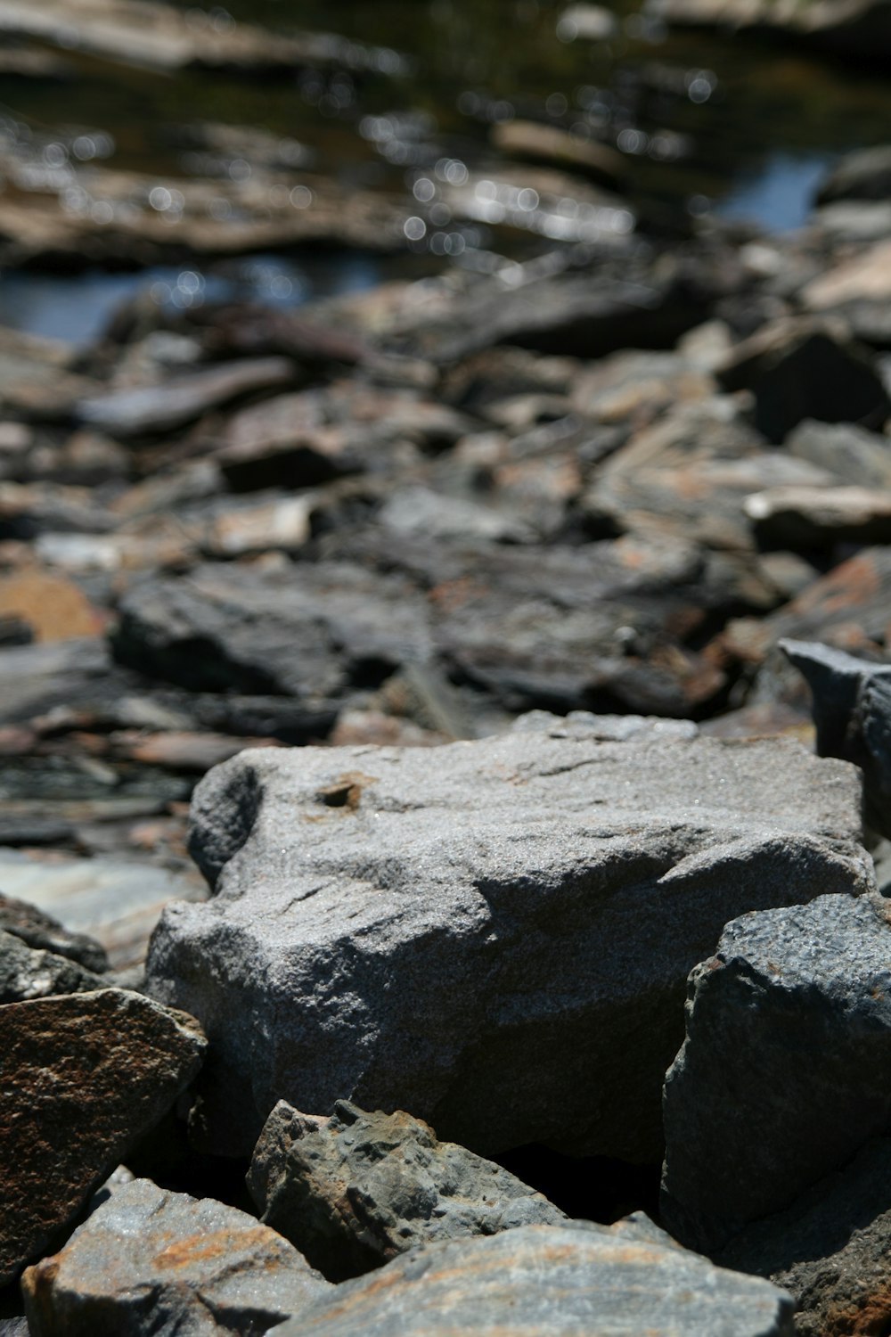 Rocas negras y grises sobre suelo rocoso gris