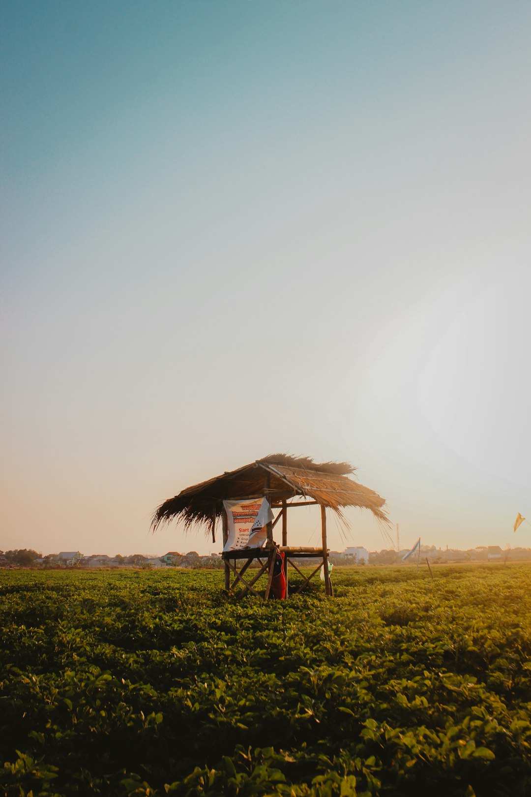 Ecoregion photo spot Surakarta Yogyakarta City