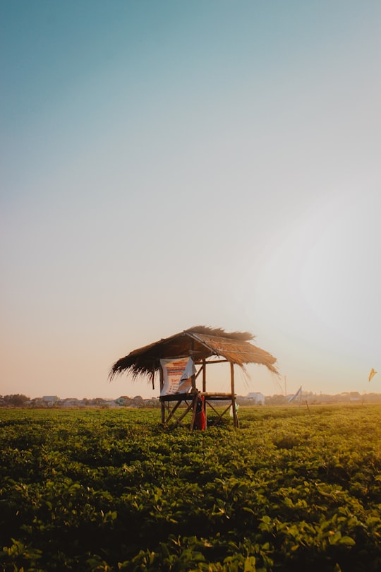 brown wooden house on green grass field during daytime in Surakarta Indonesia