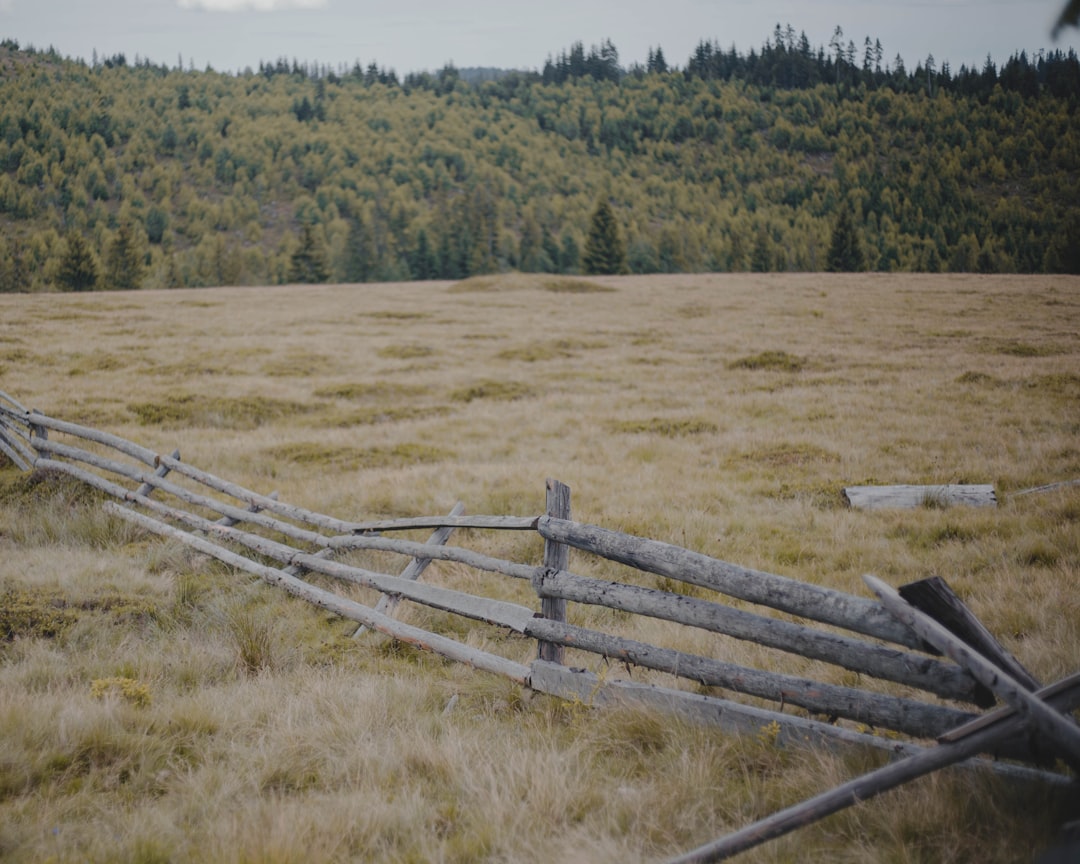 brown wooden fence on green grass field during daytime