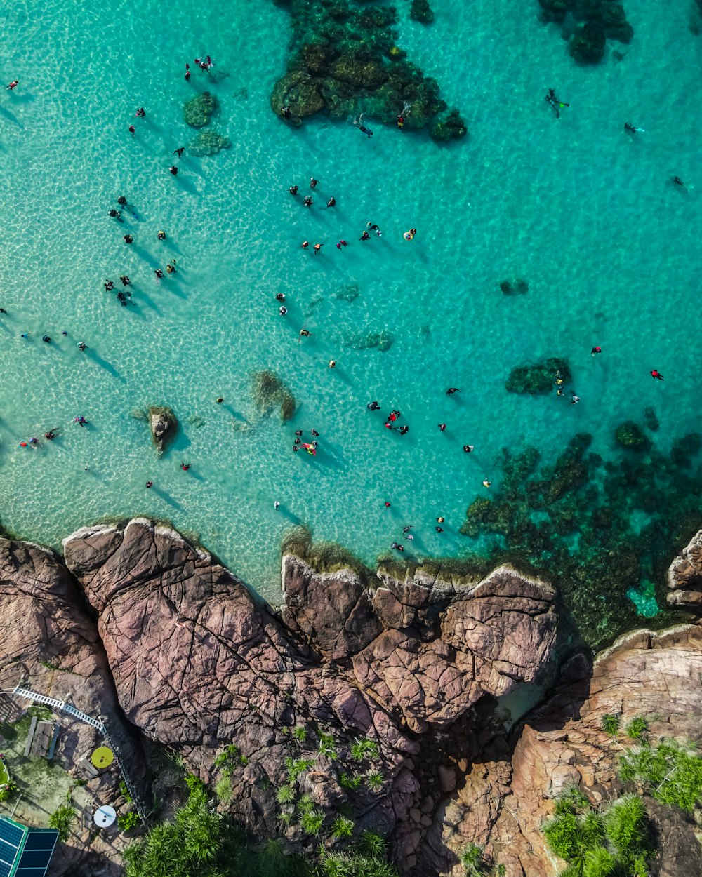 a group of people swimming in the ocean