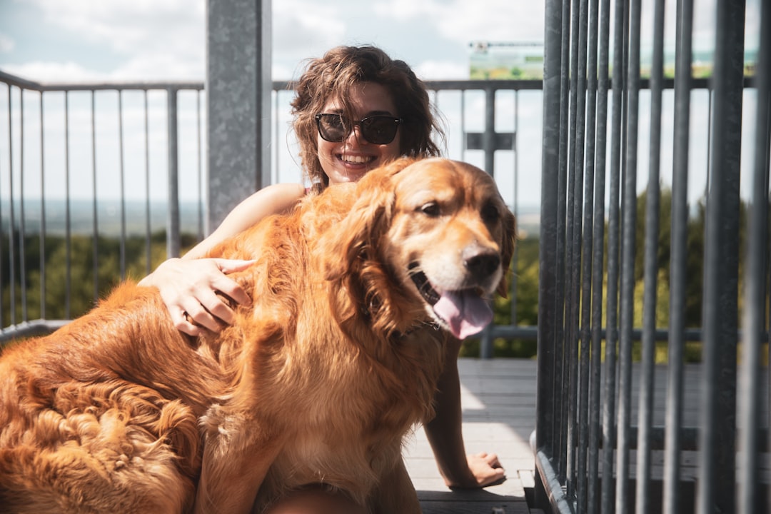 woman in black sunglasses holding golden retriever