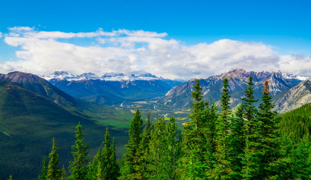 green trees near snow covered mountain during daytime