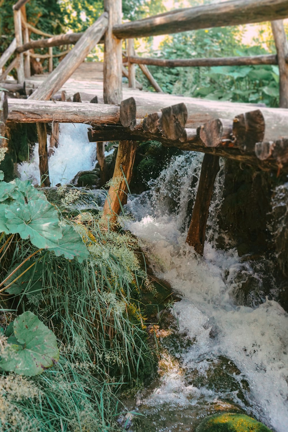 brown wooden bridge over river