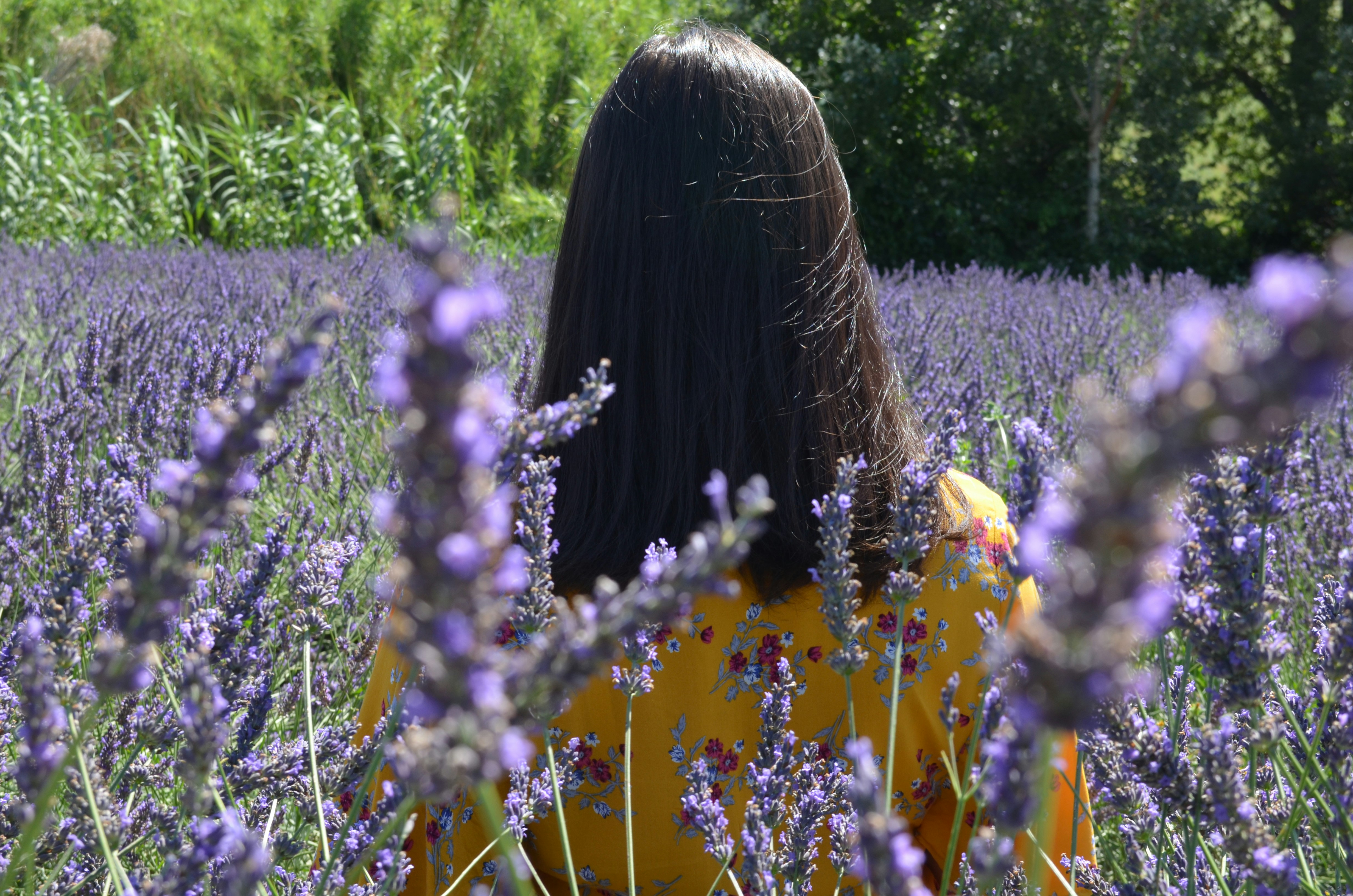 Photo by cescofran