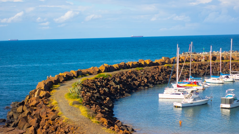 white yacht on sea during daytime