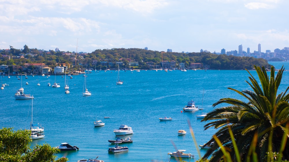 white and blue boats on sea during daytime