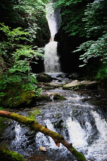 Wide cascade and packhorse bridge at Stainforth Force