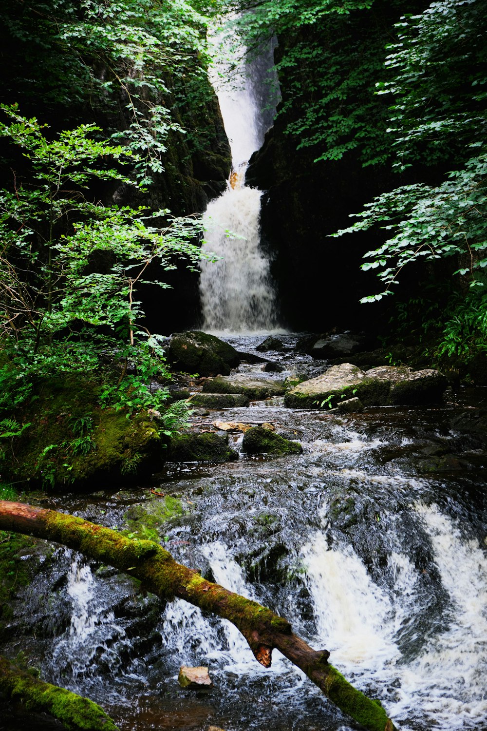 waterfalls in the middle of the forest