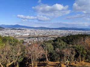 A panoramic view of a large infrastructure project in the metropolitan area of Monterrey