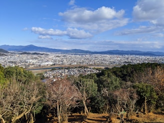 A panoramic view of a large infrastructure project in the metropolitan area of Monterrey