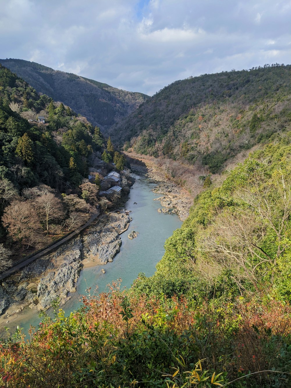 river between green trees and mountains during daytime