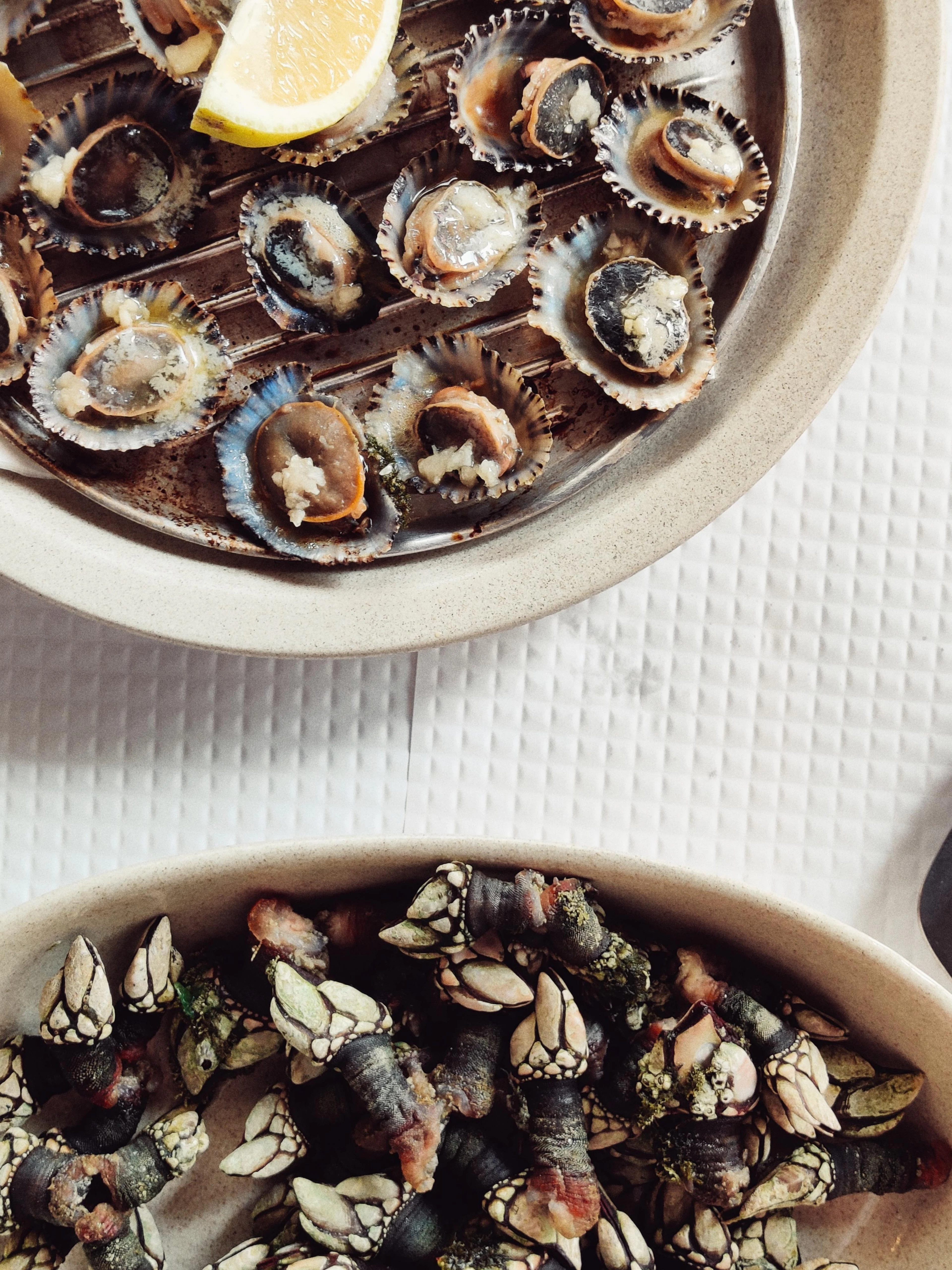 Grilled limpets with lemon and a plate of goose barnacles, a classic Algarve seafood spread.