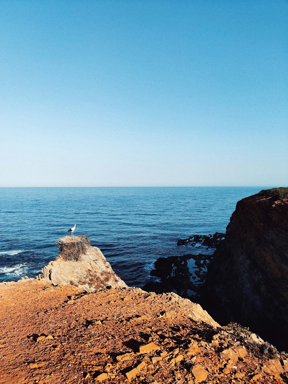 white and black lighthouse on brown rock formation near body of water during daytime