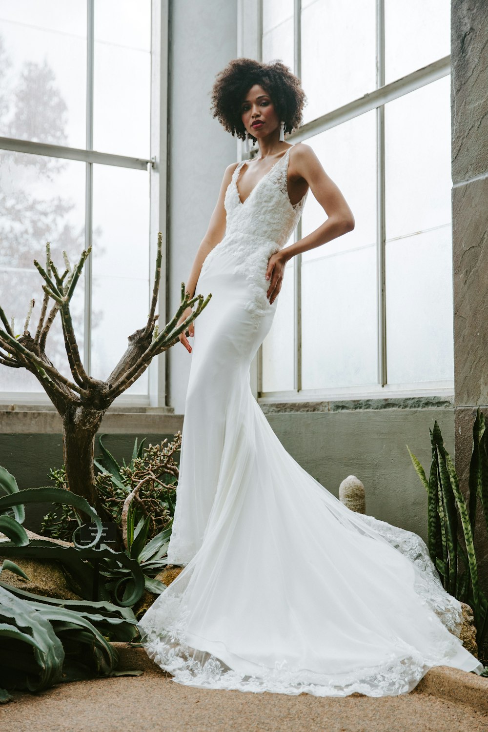 Mujer en vestido de novia blanco de pie junto a la planta verde