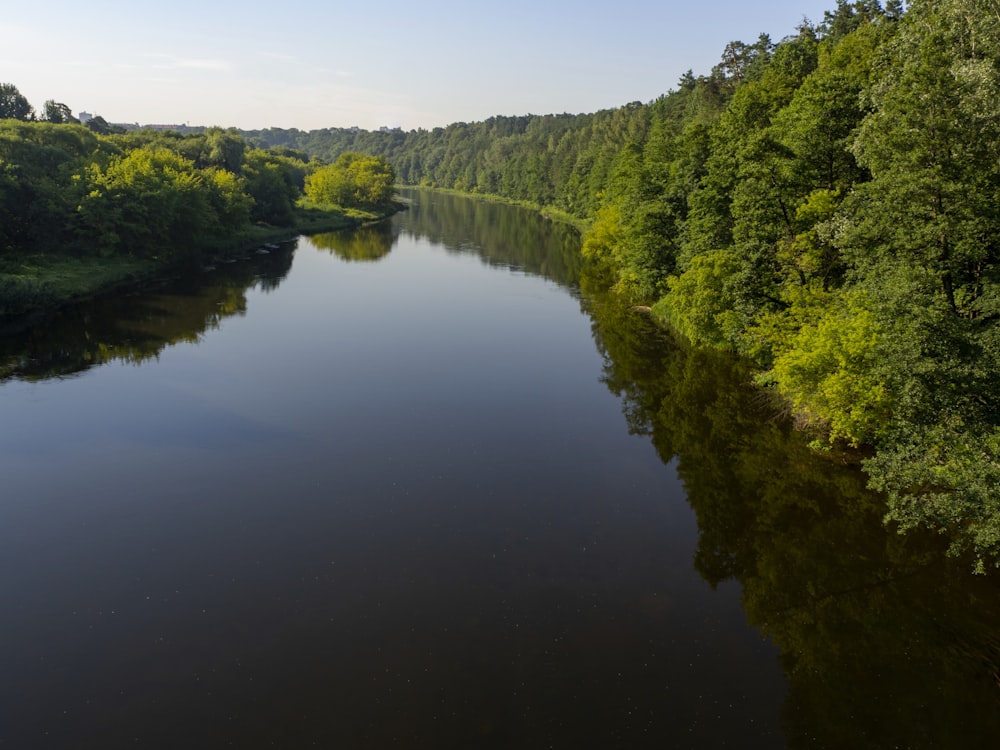 green trees beside river under blue sky during daytime