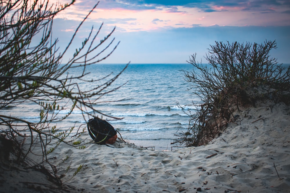 Person in schwarzer Jacke, die tagsüber am weißen Sandstrand sitzt