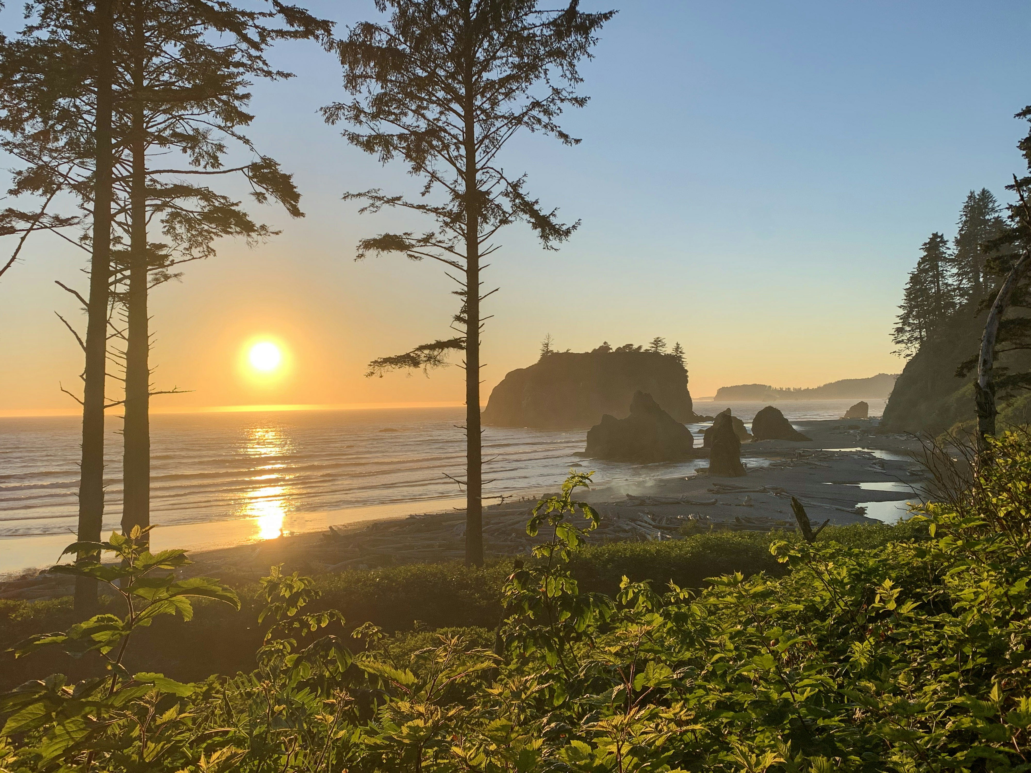 Green trees near body of water during sunset photo – Free Ruby beach ...