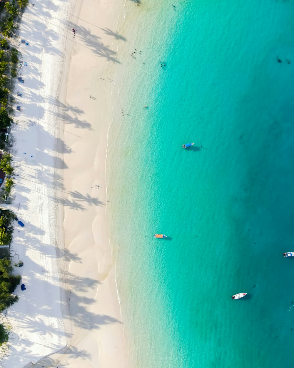 aerial view of boats on sea during daytime