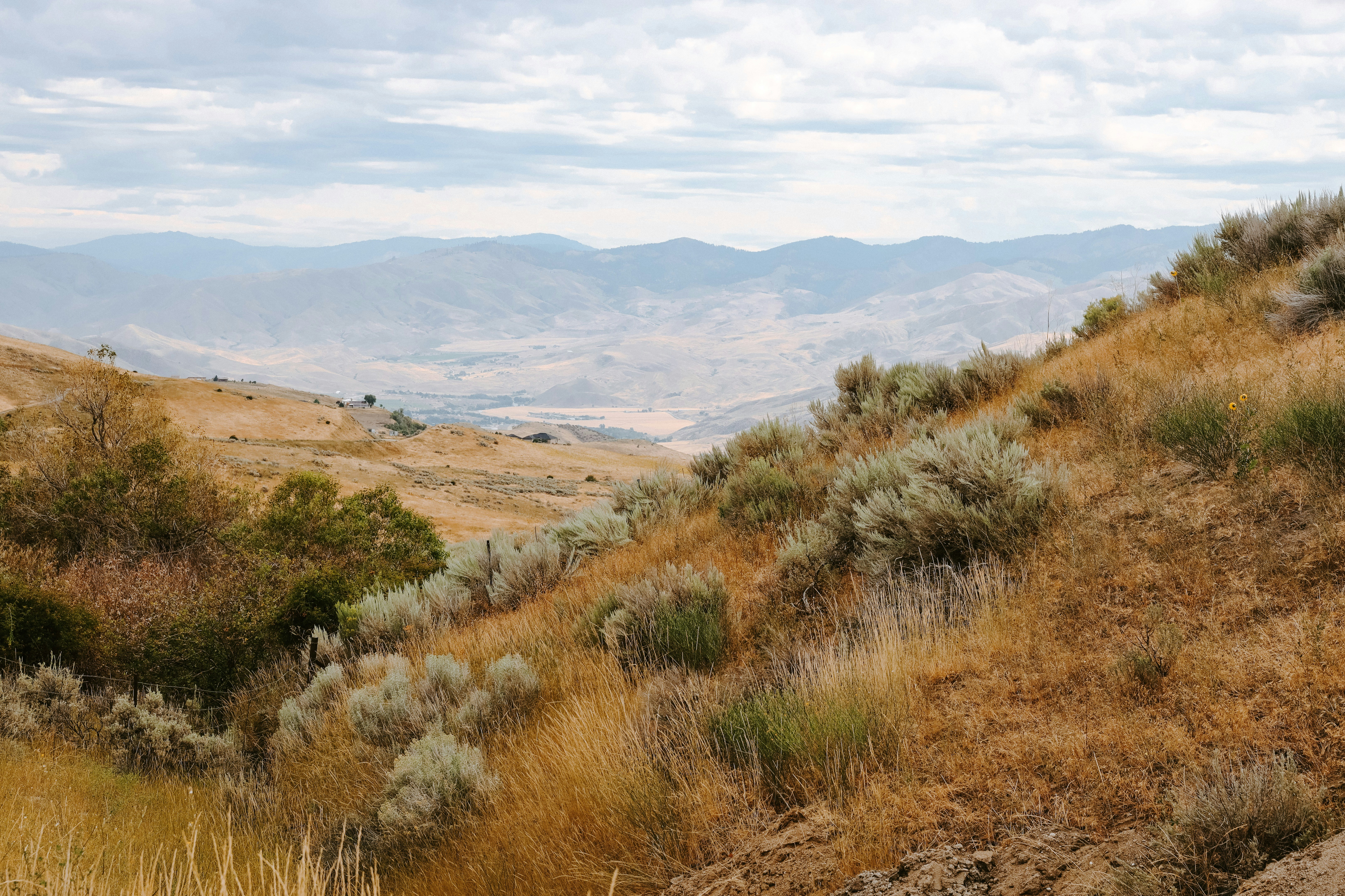 Photo by taylorheeryphoto