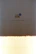 Placeholder image showing an inviting empty testimonial section with warm tones.